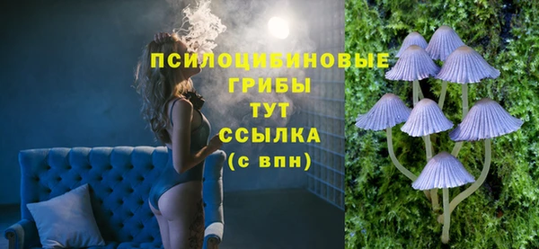 тгк Алексин
